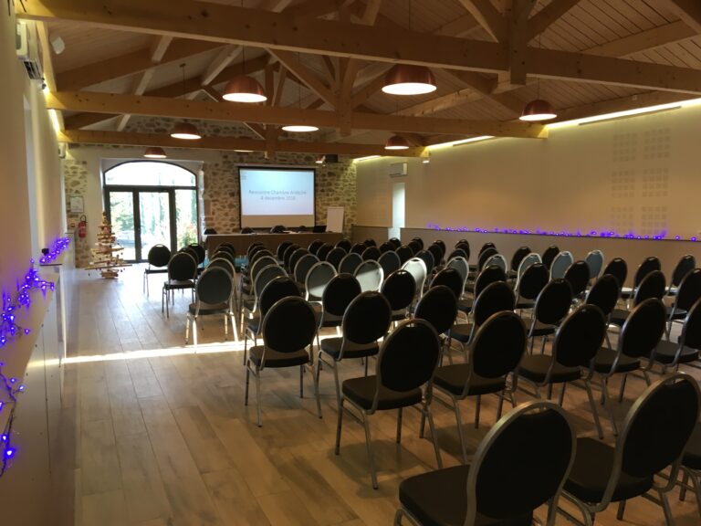 Salle de conférence en intérieur avec rangées de chaises noires, estrade et écran de projection, éclairage au plafond et guirlande lumineuse violette le long du mur, dans une pièce en pierre et poutres en bois.